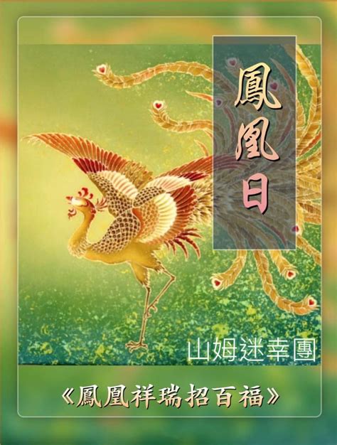 鳳凰代表|鳳凰是什麼意思？中國古代傳說中的百鳥之王 